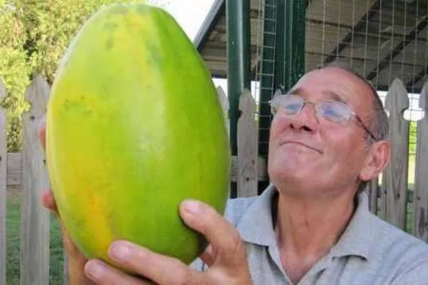 Tom McArthur The Paw Paw Man