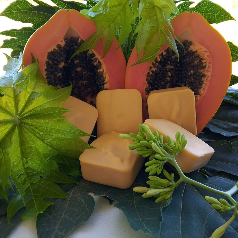 Real McArthur paw paw products — paw paw cream, pawpaw cream, magnesium cream, hand cream, body cream, face cream, moisturiser for dry skin, vegan skincare and natural handmade paw paw soap, made in Australia